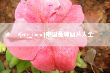 梅河口中国金牌图片大全