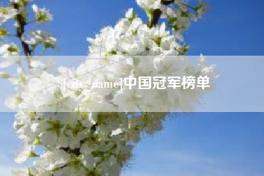 梅河口中国冠军榜单