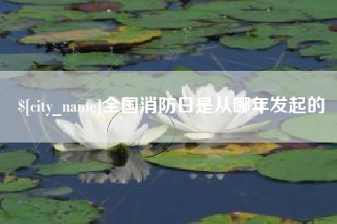 梅河口全国消防日是从哪年发起的