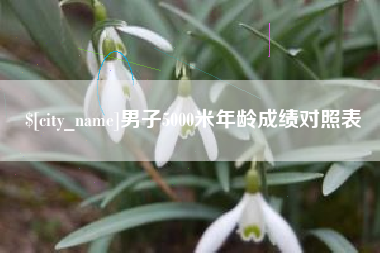 梅河口男子5000米年龄成绩对照表