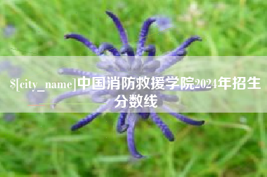 梅河口中国消防救援学院2024年招生分数线