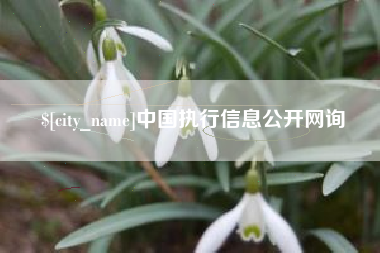 梅河口中国执行信息公开网询