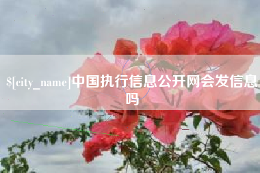 梅河口中国执行信息公开网会发信息吗