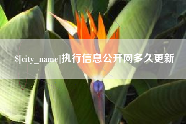 梅河口执行信息公开网多久更新