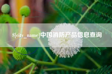 梅河口中国消防产品信息查询