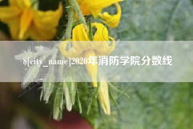 梅河口2020年消防学院分数线