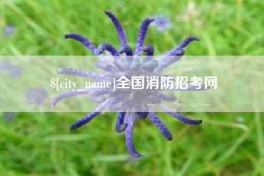 梅河口全国消防招考网
