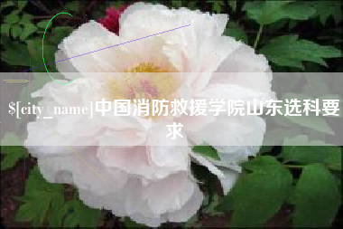 梅河口中国消防救援学院山东选科要求