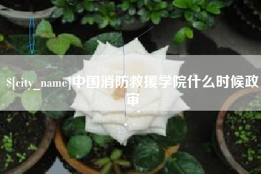 梅河口中国消防救援学院什么时候政审