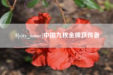 梅河口中国九枚金牌获得者