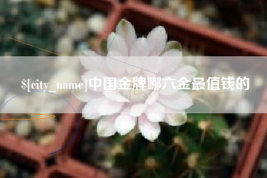 梅河口中国金牌哪六金最值钱的