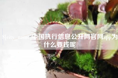 梅河口中国执行信息公开网官网app为什么要钱呢