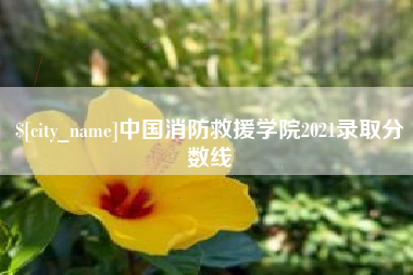 梅河口中国消防救援学院2021录取分数线