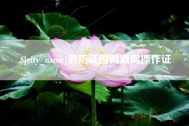 梅河口消防证国网查询操作证