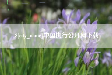 梅河口中国执行公开网下载