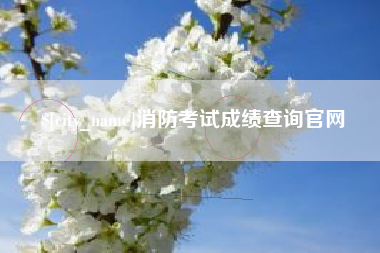 梅河口消防考试成绩查询官网