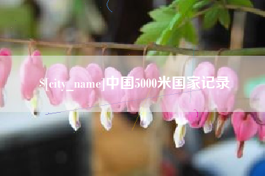 梅河口中国5000米国家记录