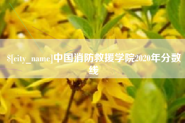 梅河口中国消防救援学院2020年分数线