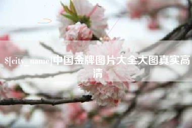梅河口中国金牌图片大全大图真实高清