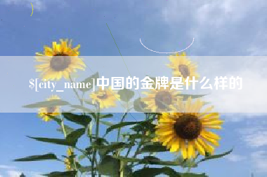 梅河口中国的金牌是什么样的