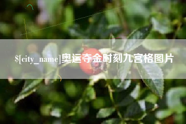 梅河口奥运夺金时刻九宫格图片