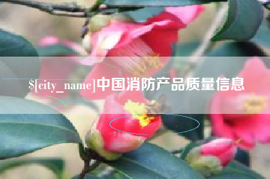 梅河口中国消防产品质量信息