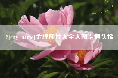梅河口金牌图片大全大图卡通头像