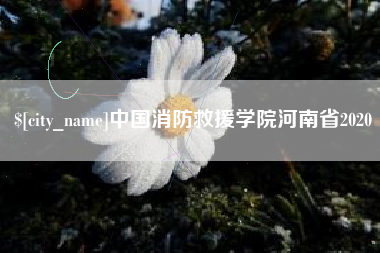 梅河口中国消防救援学院河南省2020
